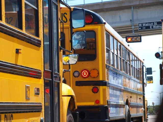 bus
